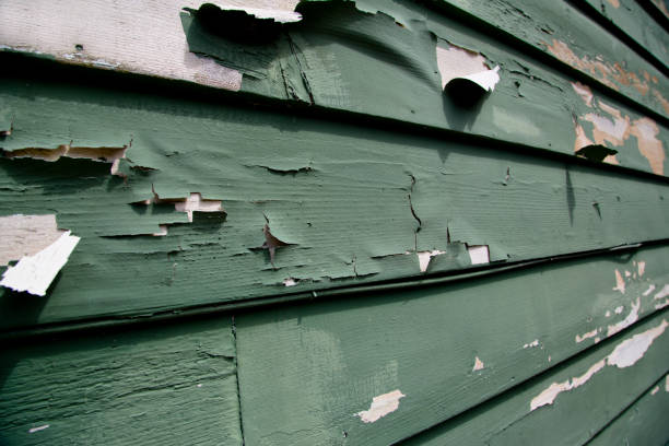 Best Moving and Downsizing Cleanouts  in Eureka, MT